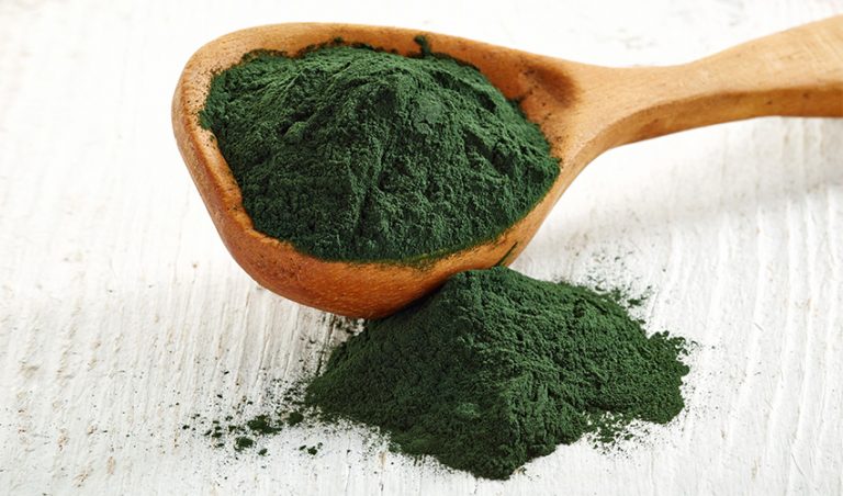Food to Live Chlorella Powder, 8 Pounds - Kosher, Raw Green Algae, Vegan Superfood, Bulk, Pure Vegan Green Protein, Rich in Vitamins and Minerals, Great for Drinks, Teas and Smoothies