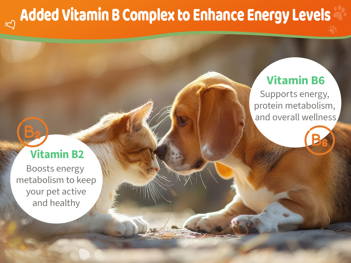 6-in-1 Kidney Support for Cats & Dogs – Promotes Healthy Kidney Function, Energy Levels & Fluid Balance – Veterinarian Formulated Herbal Supplement with Vitamin B2 & B6 – 2 fl oz (59 ml)