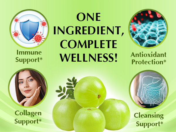 Organic Veda Amla Capsules - 1500mg, 300 Capsules - Natural Vitamin C Supplement with Antioxidants, Polyphenol for Immunity, Skin Glow & Hair Growth - Single Origin Premium Organic Amla Fruit Powder
