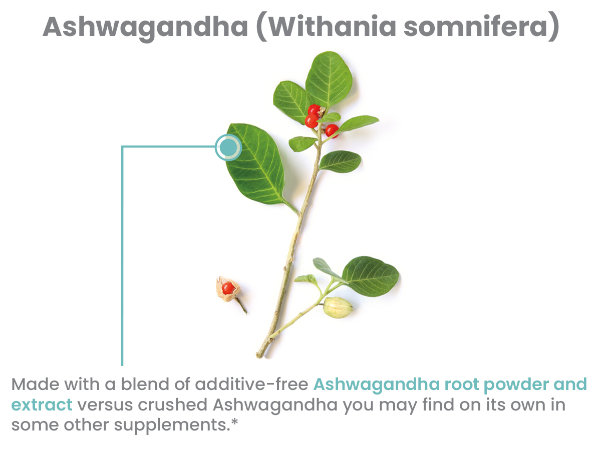 Himalaya USDA Organic Ashwagandha Root, 670 mg, 60 Day Supply, 60 Caplets