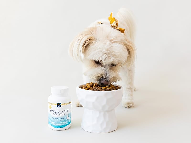 Nordic Naturals Omega 3 Pet Supplement | 330 mg Omega 3 Dog Skin and Coat Supplement | Fish Oil for Dogs with EPA & DHA | Promotes Heart, Skin, Coat, Joint, & Immune Health - Unflavored 180 Soft Gels