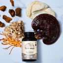 terra-origin-healthy-mushroom-complex-su-5.jpg
