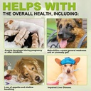 milk-thistle-for-dogs-180-chewable-table-2.jpg