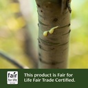 banyan-botanicals-kaishore-guggulu-organ-3.jpg