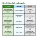 fermented-chlorella-spirulina-tablets-54-6.jpg