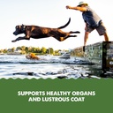 grizzly-pet-products-algal-plus-omega-3--5.jpg
