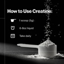momentous-creatine-monohydrate-powder-5g-71dZkBANhkL.jpg