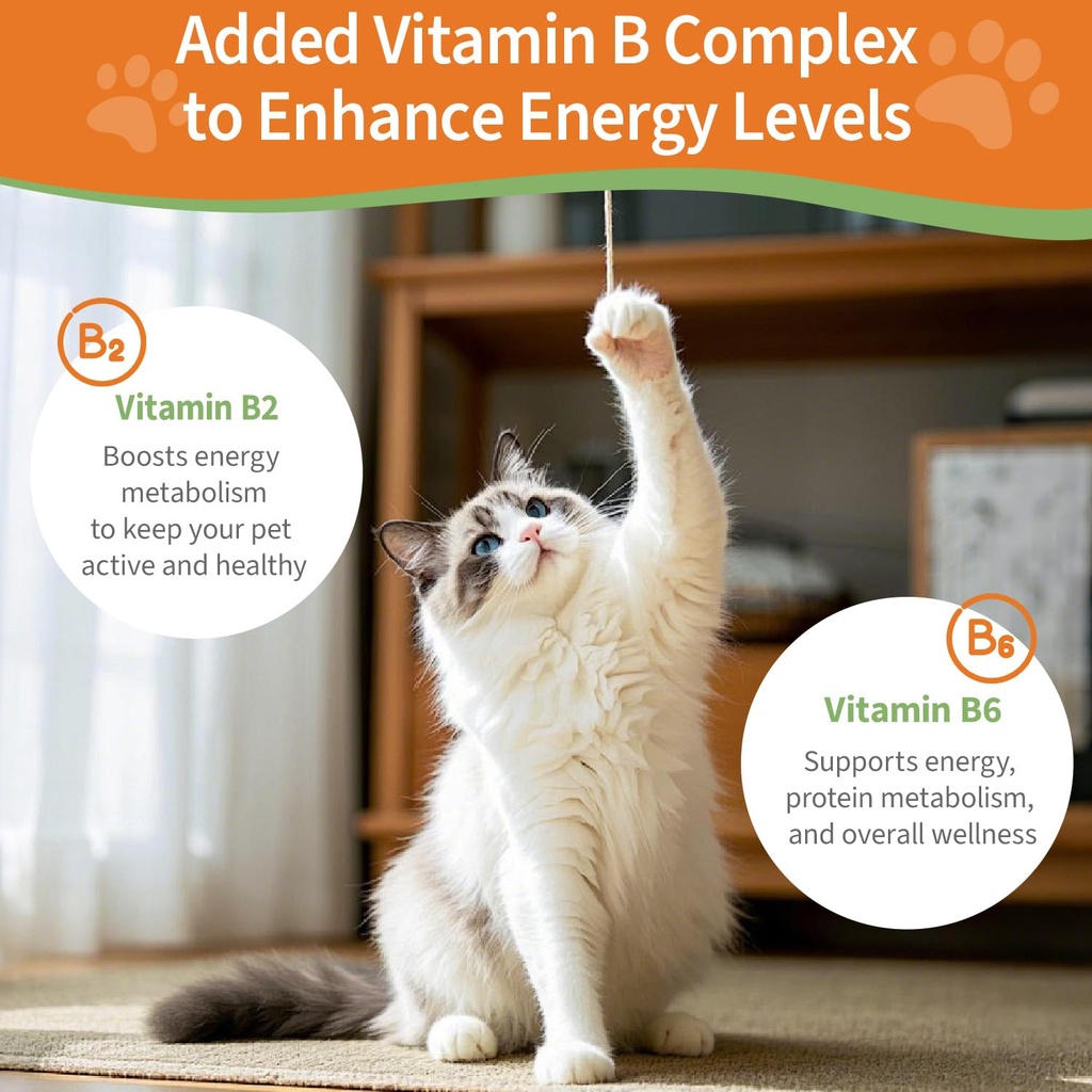 6-in-1-kidney-support-for-cats-dogs-prom-718UINpKCkL.jpg