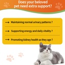 6-in-1-kidney-support-for-cats-dogs-prom-81OImJz3mzL.jpg