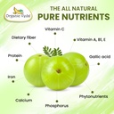 organic-veda-amla-capsules-1500mg-300-ca-71mqccxzqvL.jpg