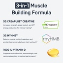 steelfit-creatine-hmb-powder-5g-creapure-719QYHI322L.jpg