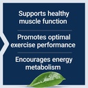 life-extension-creatine-capsules-creatin-71+N96lG4AL.jpg