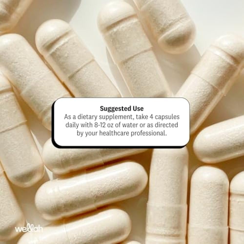 wellah-creatine-monohydrate-capsules-300-61RyfHwmCaL.jpg