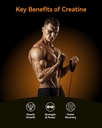 inner-brightness-creatine-monohydrate-gu-61j0saPt2GL.jpg
