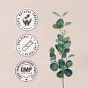 turmeric-usda-organic-alcohol-free-extra-4.jpg