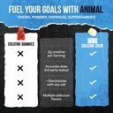 animal-creatine-chews-tablets---enhanced-4.jpg