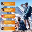 2-packs-shilajit-gummies-1000mg-sugar-fr-3.jpg