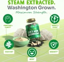 maju-superfoods-organic-lions-mane-mushr-3.jpg