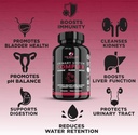 the-enclare-nutrition-d-mannose-capsules-6.jpg