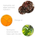 bio-therapeutic-decongest---gentle-formu-3.jpg