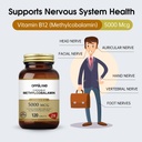 methyl-b-12-5000mcg-chewable-with-folate-3.jpg