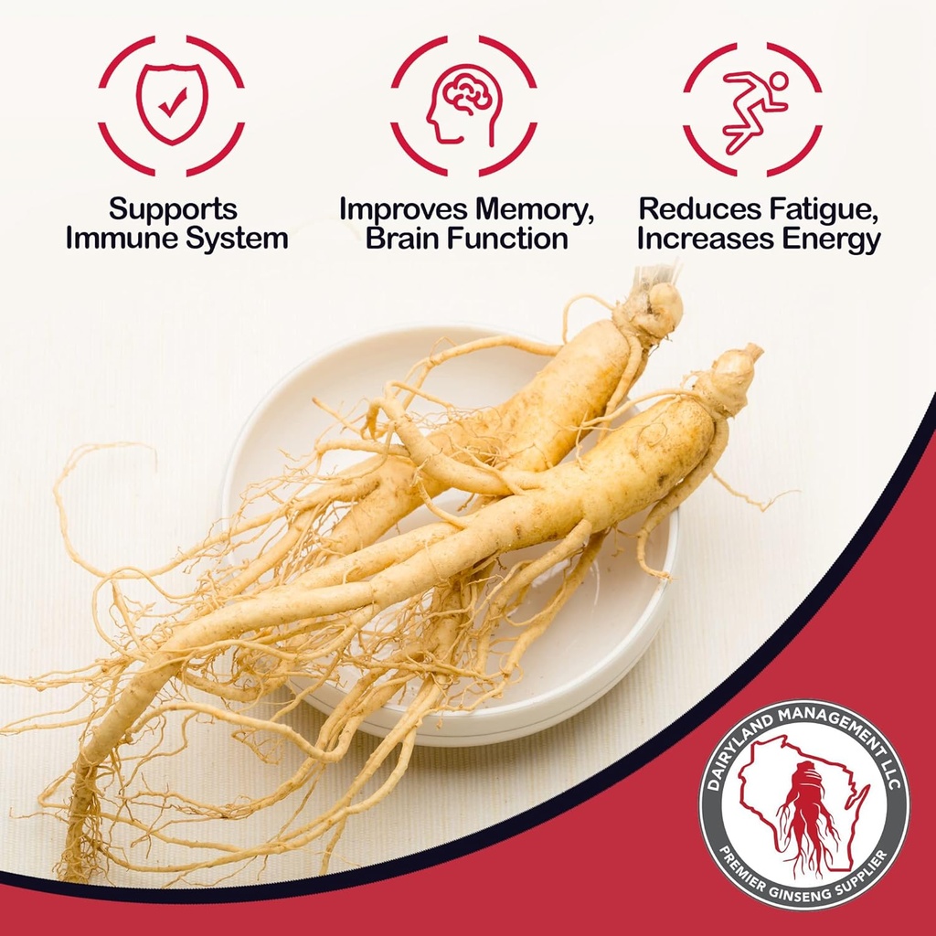 dairyland-american-ginseng-tea-bags-美国人参-3.jpg