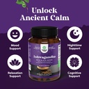 bundle-of-pure-sam-e-nootropic-brain-sup-5.jpg