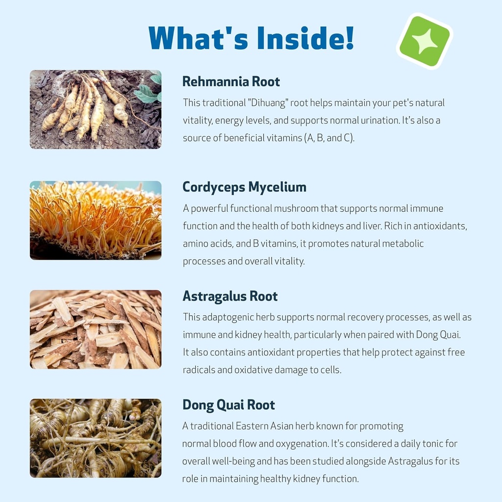 pet-wellbeing-kidney-support-gold-for-ca-6.jpg