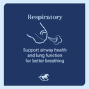 smartequine-lung-eq-pellets-for-innovate-4.jpg