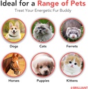 brilliant-salmon-oil-for-dogs-cats-puppi-4.jpg