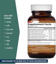 mycomune-4x-organic-mushroom-supplement--2.jpg