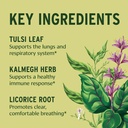 banyan-botanicals-organic-immune-strong--2.jpg