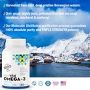 plantvital-omega-3-fish-oil-capsules---p-4.jpg