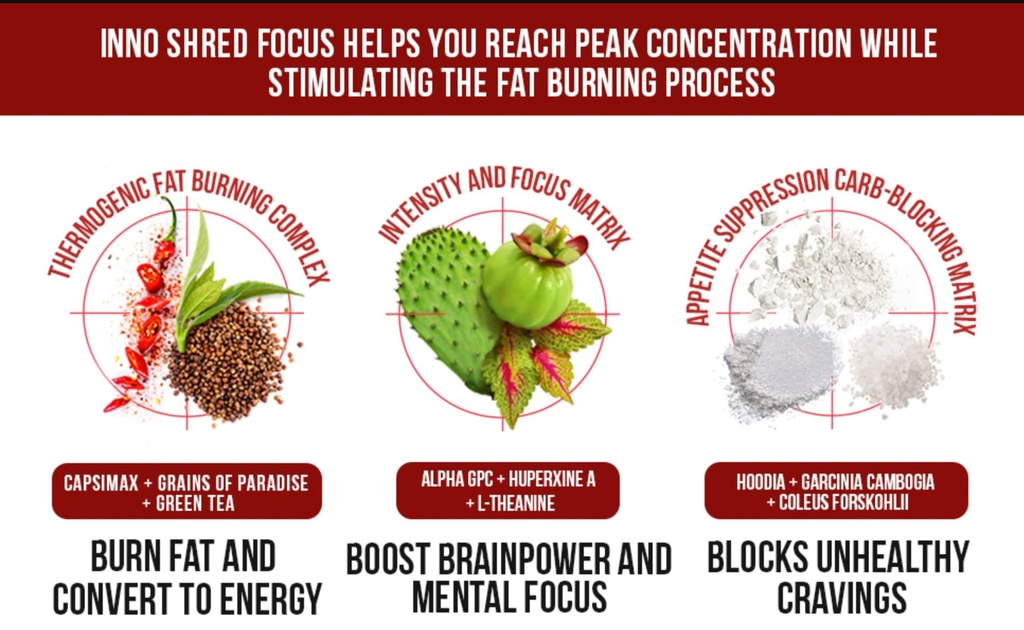 inno-shred-focus-day-time-fat-burner-100-4.jpg