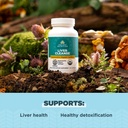 ancient-nutrition-regenerative-organic-c-3.jpg