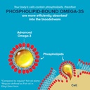 qunol-advanced-omega-3-krill-and-fish-oi-3.jpg