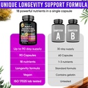 adndale-liposomal-nad-supplement-longevi-5.jpg