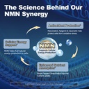 migcopat-nmn-supplement-1000mg-5-in-1-na-2.jpg