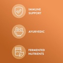 dr-mercola-organic-fermented-turmeric-37-5.jpg