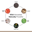 dr-schulze-s-intestinal-formula-1-bowel--5.jpg