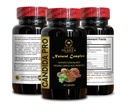 candida-pro-complex-boost-your-health-wi-5.jpg
