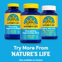 nature-s-life-energizing-niacinamide-vit-6.jpg