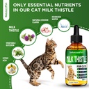 at-kidney-support-milk-thistle-for-cats--3.jpg