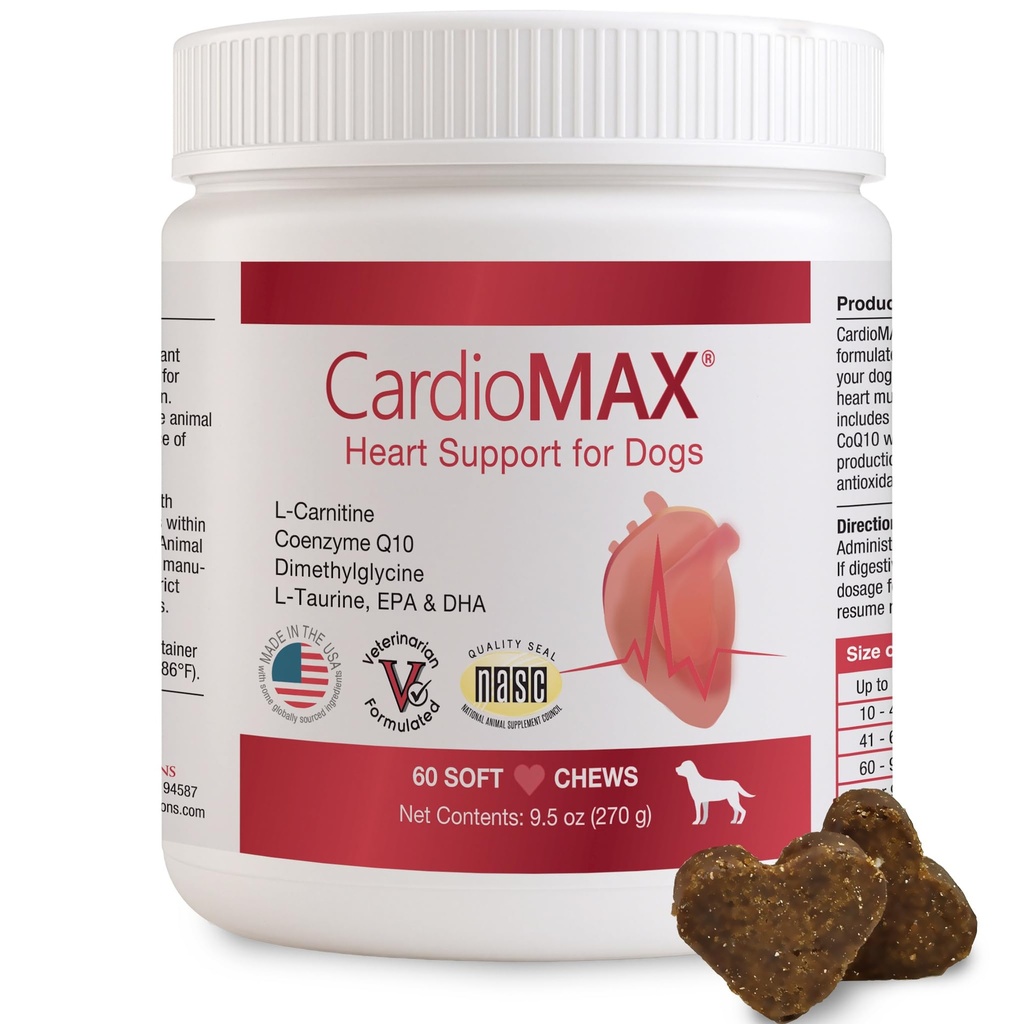 Sydämen tuki täydentää koirille-vet-muokattu, antioksidantti-Rich-L-Tauriini, L-karnitiini, EPA, DHA,CoQ10-Aids Circulatory Strength, Kardiovascular Support, Heart Muscle Function-USA Made-60 Soft Chews