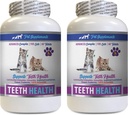 kissa Bad Breath Treats - CAT hampaiden terveys - Advanced Mouth Health Complex - Immuuni Boost - B12-vitamiini kissat - 2 pulloa (120 tablettia)