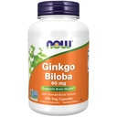 NYT elintarvikkeiden lisäravinteet, Ginkgo Biloba 60 mg, 24% Standardoitu uute, ei-GMO-projekti todennettu, 240 Veg kapselia