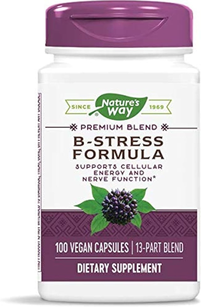 Natures Way B-Stress Formula 100vegcp (pakkaus 2)