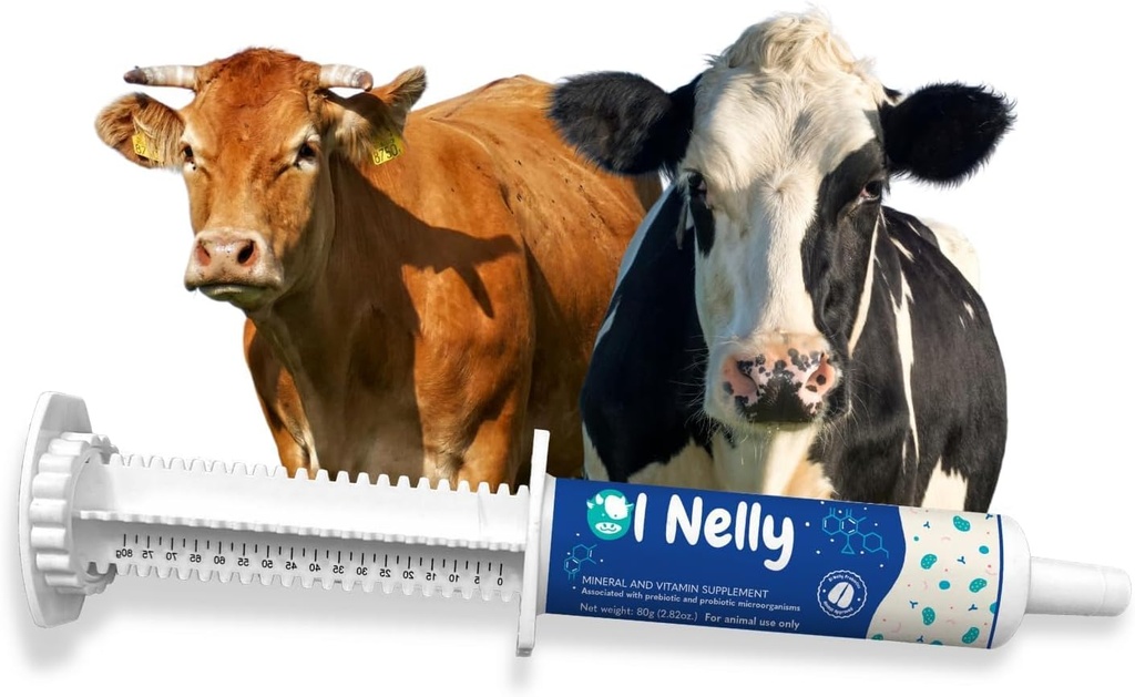 Ruminants Pre and Probiotic Paste (80g) - Pre and Probiotics with Vitamins and Minerals-6 Strains and 8 Billion CFU- Immune and Gastro Health Support for All Ruminants: Bovines, Goats & More