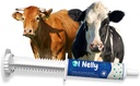 Ruminants Pre ja Probiotic Laste (80g)- Pre ja Probiootit vitamiineja ja Minerals- 6 kanta ja 8 miljardia PMY- Immuuni- ja Gastro terveys tuki kaikille märehtijöille: Naudat, vuohet & enemmän