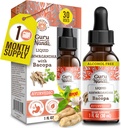 GuruNanda Liquid Ashwagandha med Bacopa (1 Fl Oz) - Natural Dietary Supplement- Liquid Extract Drops - för Män & Kvinnor- Vegan & Alkoholfri - Hjälper i Immune, Focus & Relaxation Support